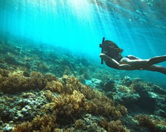 Kalyana Villa Gili Air - Pemenang