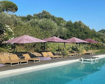Romantic HideAway in an Old Olive Grove - EcoTourism - Huge Pool - E-Charger - Campagnatico - Pool