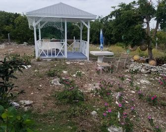 Delancy's Cottage - Whitby - Patio