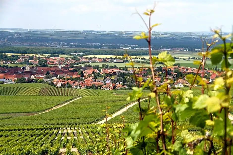 Gasthof zum Rödelseer Schwan - Rödelsee - Вигляд зовні