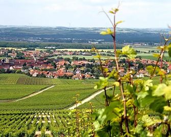 Gasthof zum Rödelseer Schwan - Rödelsee - Außenansicht