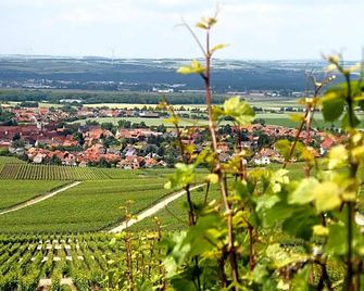 Gasthof zum Rödelseer Schwan - Rödelsee - Вигляд зовні