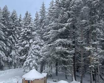 Cozy yurt just a short distance to Seward boat harbor and downtown. - Seward