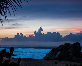 El Alquimista Yoga Spa - Zipolite