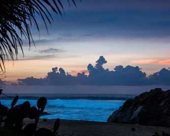 El Alquimista Yoga Spa - Zipolite