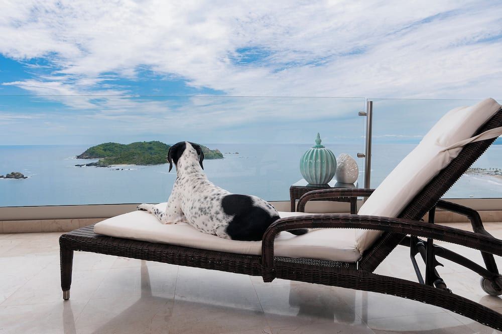 هوتل أزول إكستابا جراند ريزورت سبا آند كونفينشن سنتر - Ixtapa - شرفة