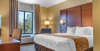 Comfort Inn & Suites Boise Airport - Boise - Bedroom