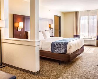Comfort Inn And Suites Niagara Falls Blvd Usa - Cataratas do Niágara - Quarto