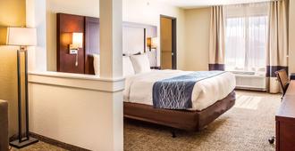 Comfort Inn And Suites Niagara Falls Blvd Usa - Niagara Falls - Bedroom