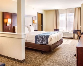 Comfort Inn And Suites Niagara Falls Blvd Usa - Niagara Falls - Sovrum