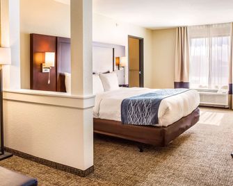 Comfort Inn And Suites Niagara Falls Blvd Usa - ניאגרה פולס - חדר שינה