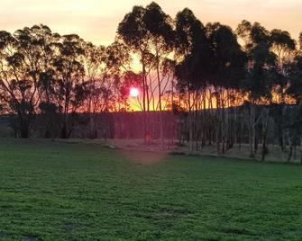 Farm stay with alpacas at your doorstep - Cromer - Vista del exterior