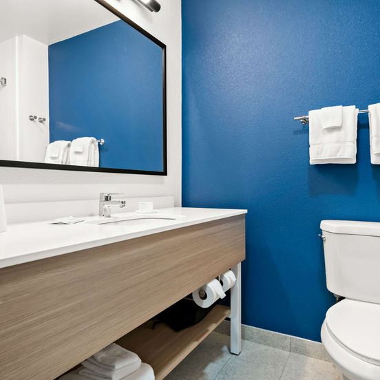 Bathroom view of Spark by Hilton Lancaster Dutch Country