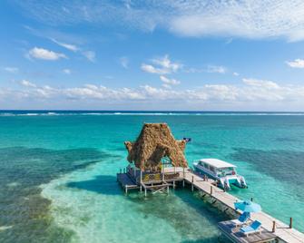 Margaritaville Beach Resort Ambergris Caye - Belize - San Pedro Town - Building