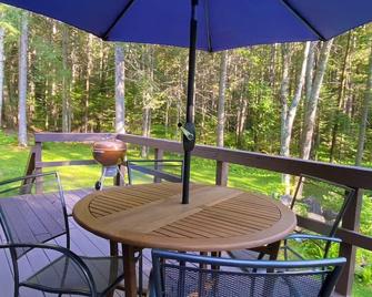 3-Acres Adirondack Cabin: private beach, sauna room, pool table - North River - Patio