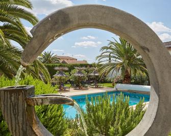 لوجي أوتل لو رودين - آرل - حوض السباحة