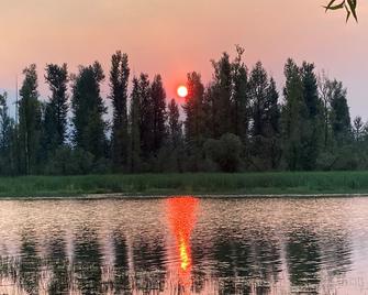 A true lakefront retro cottage with a mountain view. Pet and kid friendly! - Mission - Outdoors view