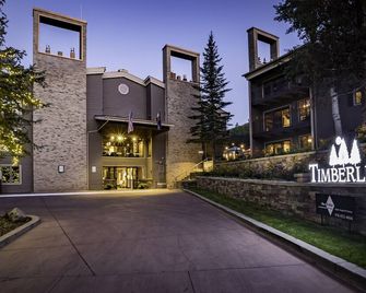 Timberline Condominiums Studio Deluxe Unit 216 - Snowmass Village - Building