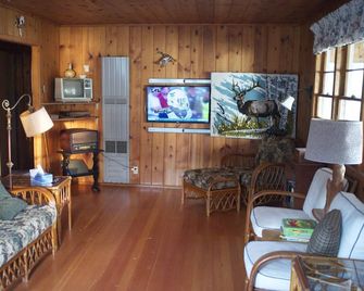 On the water! Rain guarantee. Boat lift. AC. Pontoon boat, SUP's, Kayaks, canoe. - Cambridge - Sala de estar