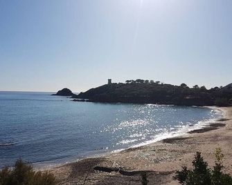 キャロルF4-レジデンスプール-シービュー-ファウテア-分類3 - ゾンザ - ビーチ