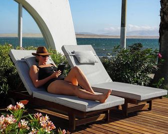 Atoq Paracas Reserva - Paracas