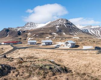 Northern Lights + Amazing Summer at Perfect Cottage on Snaefellsnes Peninsula! - Eyja- og Miklaholtshreppur - Playa