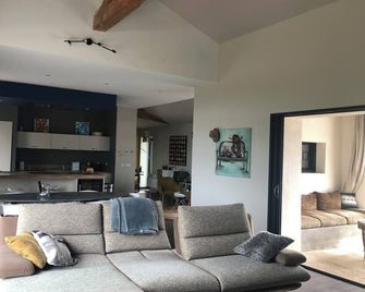 Renovated farmhouse with garden and swimming pool - Bourg-en-Bresse - Living room