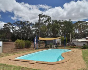 Wagon Wheel Motel & Units - Coonabarabran - Басейн