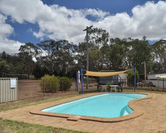 Wagon Wheel Motel & Units - Coonabarabran - Bazén