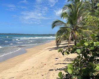 Charming 2 bedroom house with fiber optic in cocles Puerto Viejo de Talamanca - Puerto Viejo de Talamanca - Beach