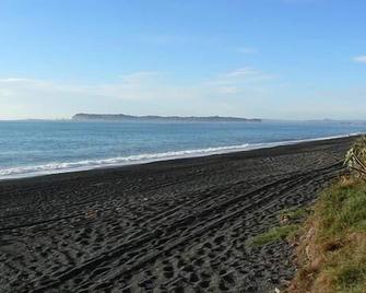Sunny - downstairs - Beach Flat - Napier - Beach