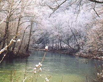 It's a place that attracts happiness. - Lexington - Outdoors view