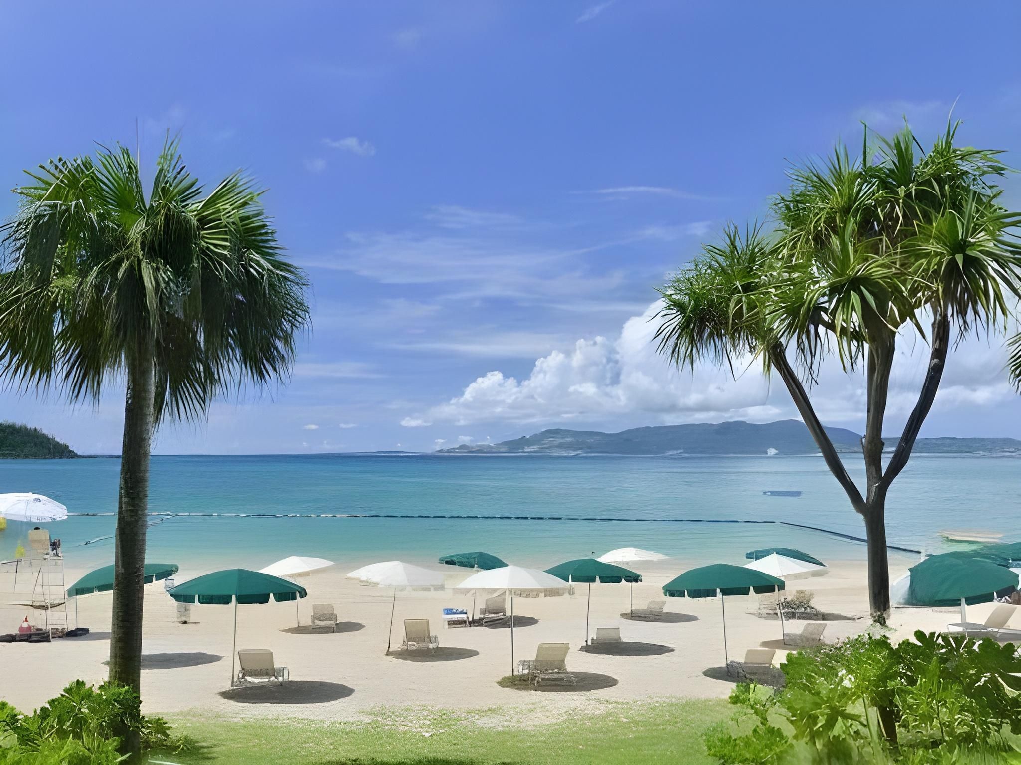 كانهايد كيس بيتش بالاس