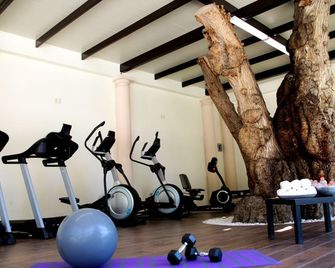 Villas by Real del Bosque - Tula - Gimnasio