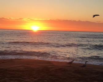 Beach to Bush - Stanwell Park - Beach