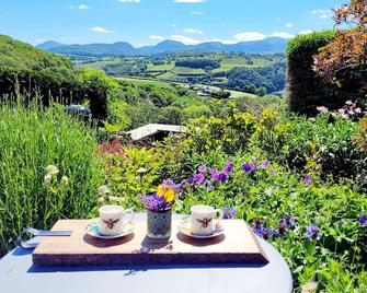 Ty Farm Retreat - Farmhouse Studio - Mountain View - Machynlleth - Patio