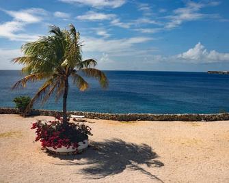 Breathtaking view of the Caribbean Ocean w/ sea, snorkling & diving mere ft away - Sabana Westpunt - Strand