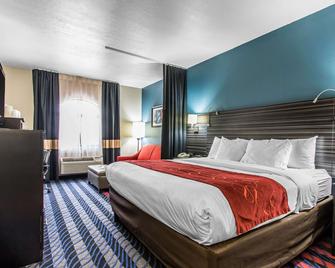 Comfort Suites Fairgrounds West - אוקלהומה סיטי - חדר שינה