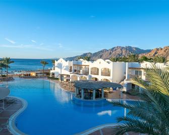 Jaz Dahabeya - Dahab - Pool