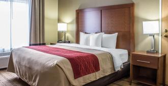 Comfort Inn and Suites Cedar Rapids North - Collins Road - Cedar Rapids