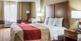 Comfort Inn and Suites Cedar Rapids North - Collins Road - Cedar Rapids - Quarto