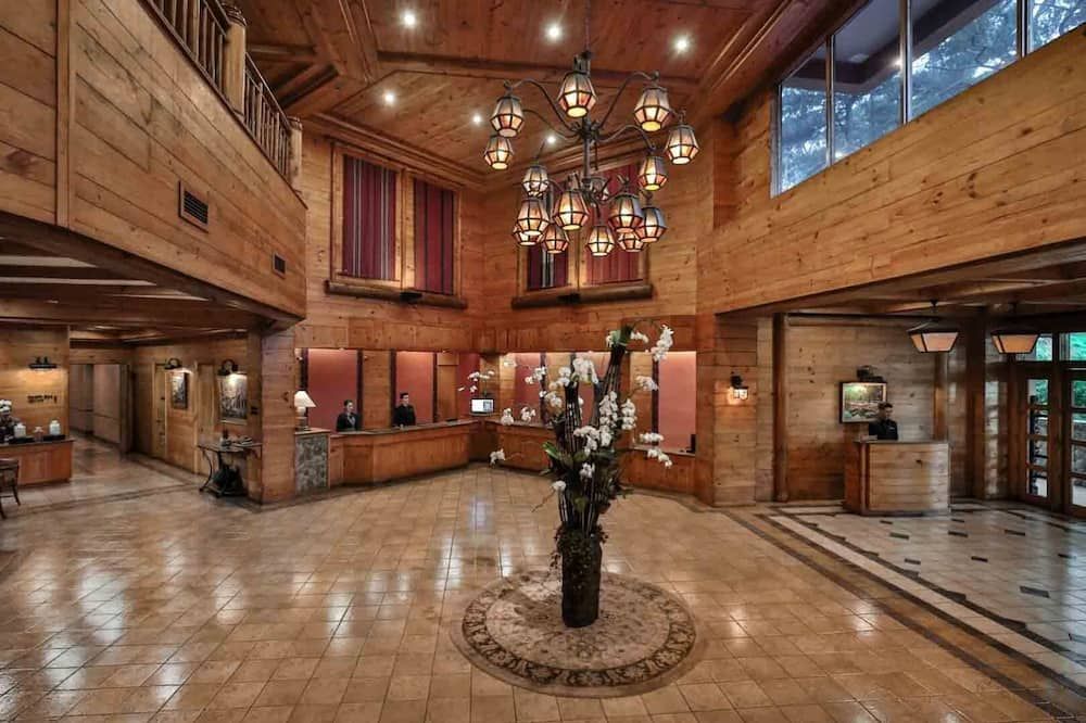 ذا مانو آت كامب جون هاي - باغيو سيتي - ردهة