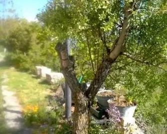 B&B Nonno Severino - Santo Stefano di Sessanio - Outdoors view
