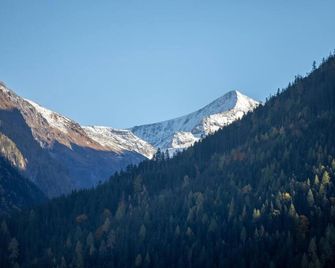 Hotel Wildrose - Neukirchen am Grossvenediger - Patio
