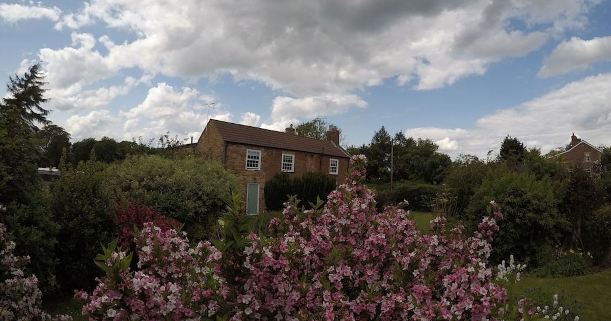 The Vine B & B . Alford Hotel Deals & Reviews KAYAK