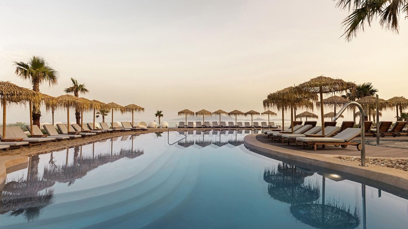 ميتسيس نوريدا