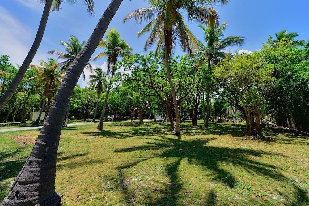Outdoors view view of 3 Bedroom Private Oceanfront House - Sol