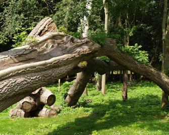 The Olde Windmill Inn - Thetford