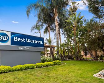 Best Western Pine Tree Motel - Chino - Edificio