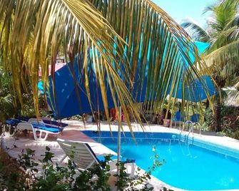 Casa de Las Tortugas I Tour Akumal - Akumal - Pool